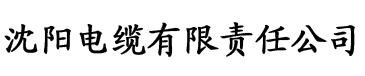 香蕉中文久久电缆厂logo